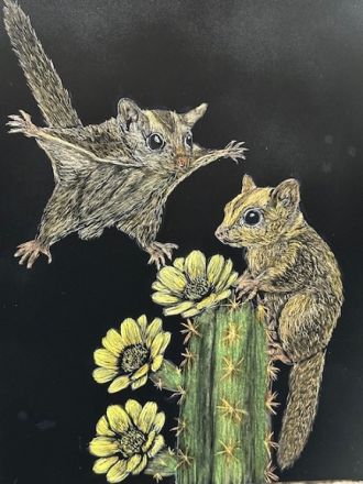 Incoming Sugar Gliders